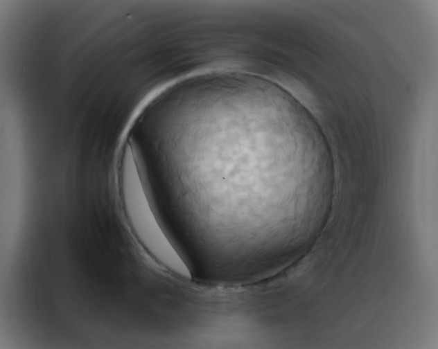 X0000088210912200705221741
