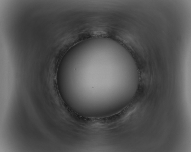 X0000088210913200705221740