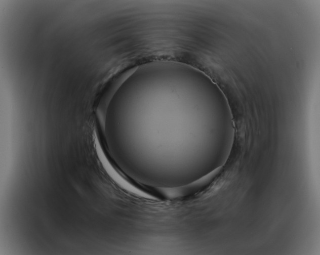 X0000088210916200705221740