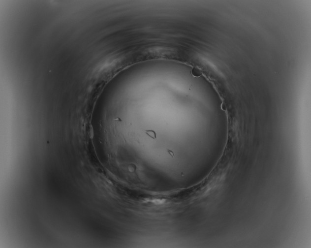 X0000088210917200705221740