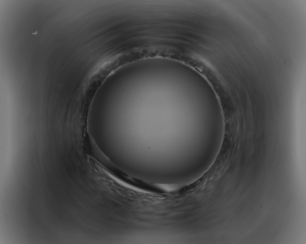 X0000088210919200705221740