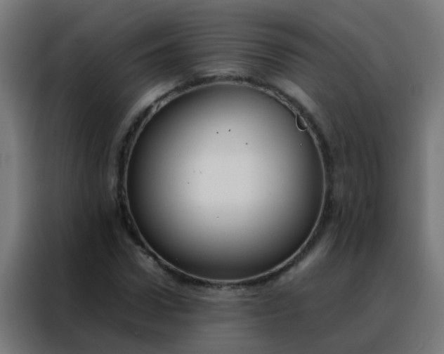 X0000088210922200705221740