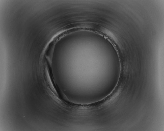X0000088210923200705221740