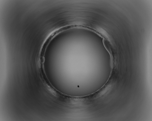 X0000088210924200705221740
