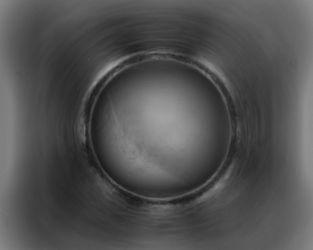 X0000088210925200705221740