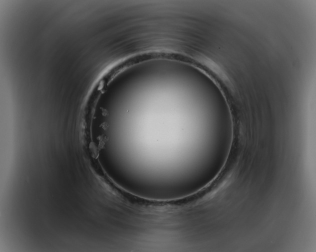 X0000088210926200705221740