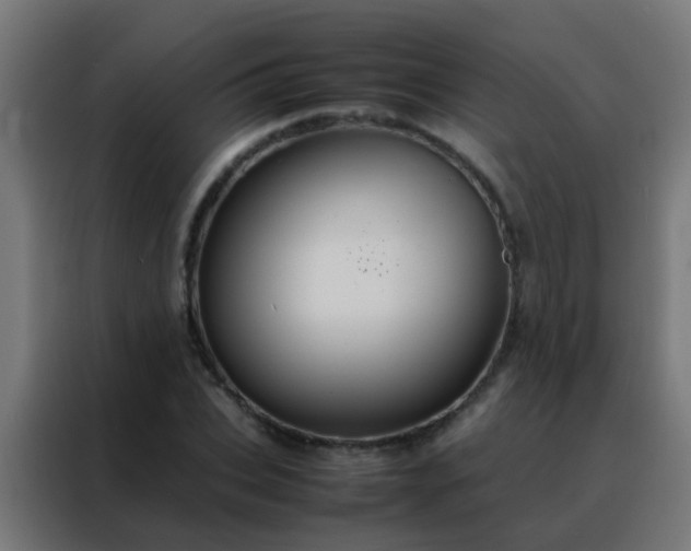 X0000088210927200705221740