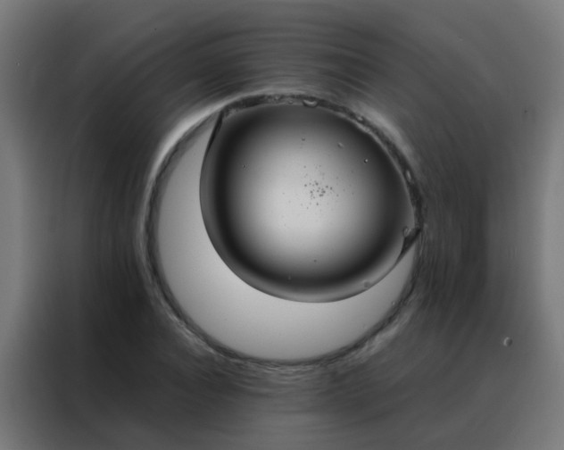 X0000088210928200705221740