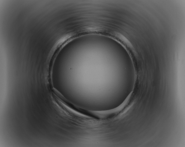 X0000088210930200705221740