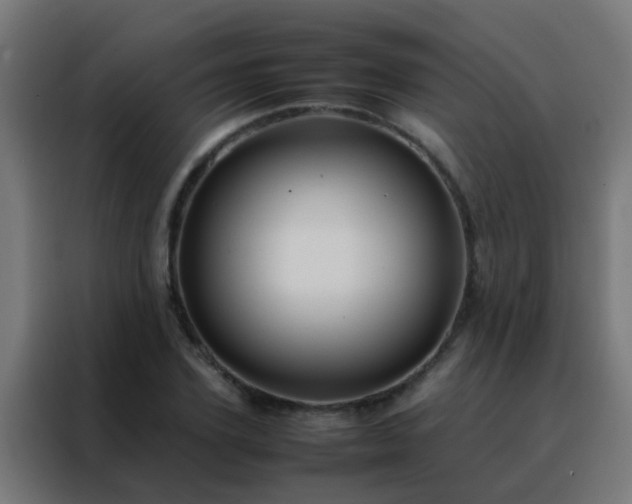 X0000088210931200705221740