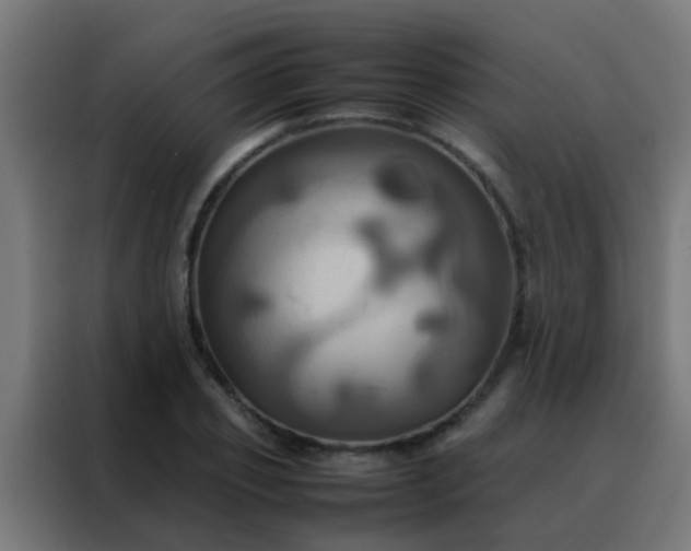 X0000088210933200705221740