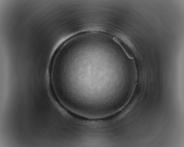 X0000088210936200705221740