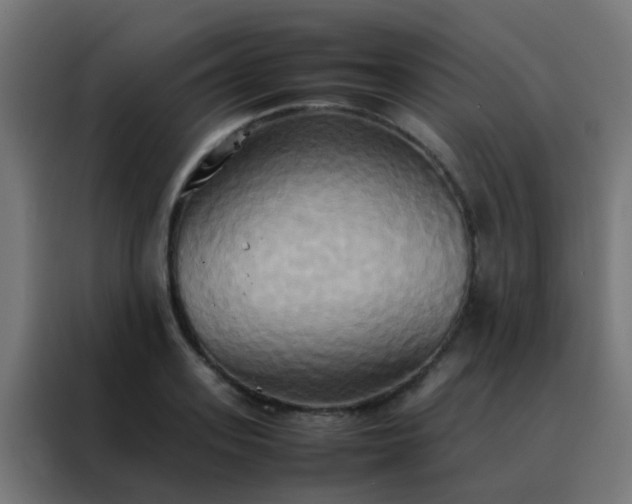 X0000088210939200705221740