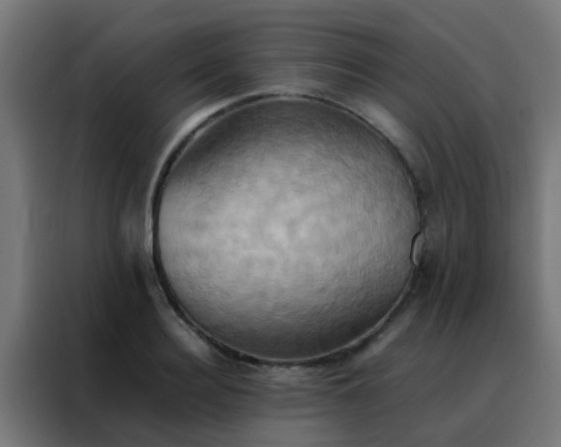 X0000088210940200705221740