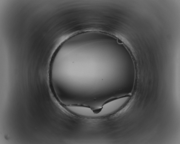 X0000088210941200705221740