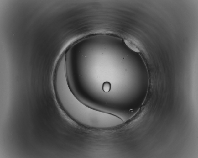 X0000088210942200705221740