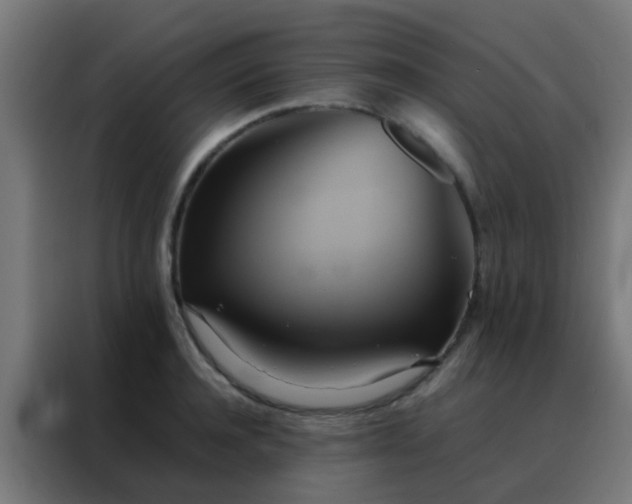 X0000088210944200705221740