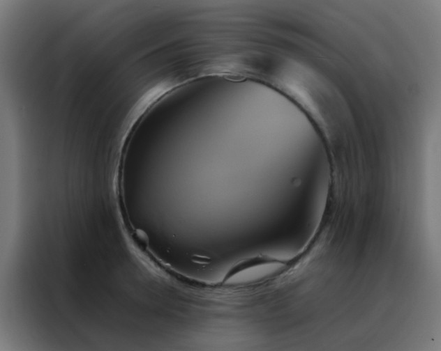X0000088210946200705221740