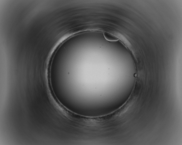 X0000088210947200705221741