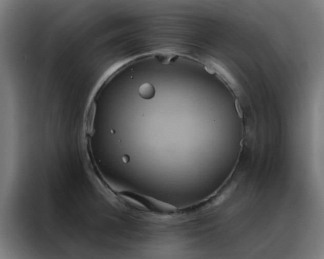 X0000088210948200705221741