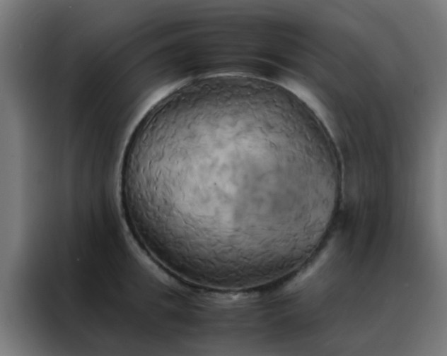 X0000088210949200705221741