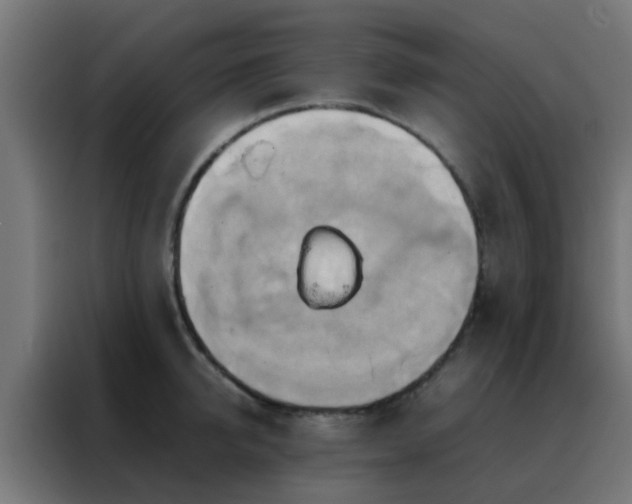 X0000088210950200705221741