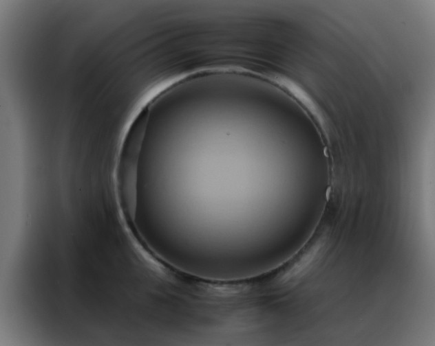 X0000088210951200705221741