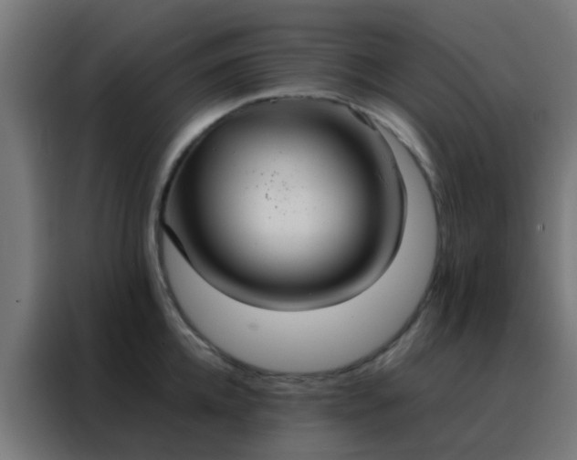 X0000088210952200705221741