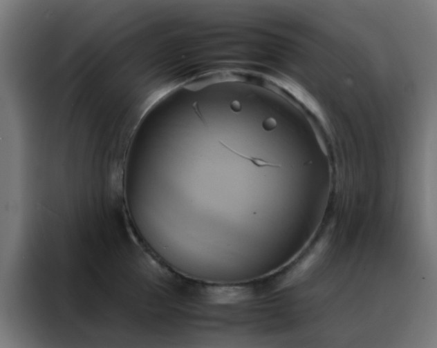 X0000088210953200705221741