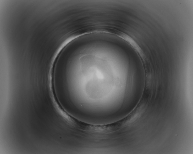 X0000088210955200705221741