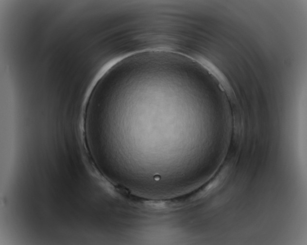 X0000088210956200705221741