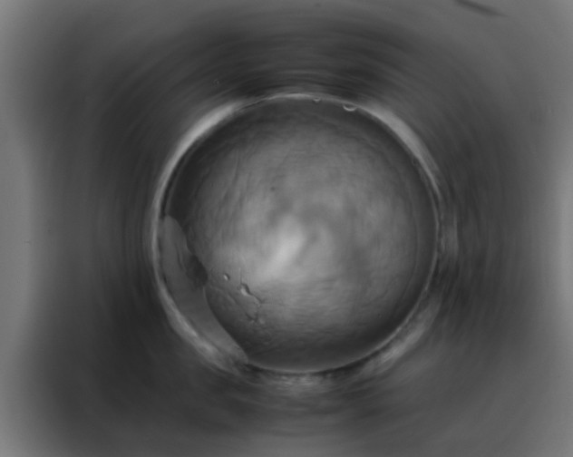 X0000088210957200705221741