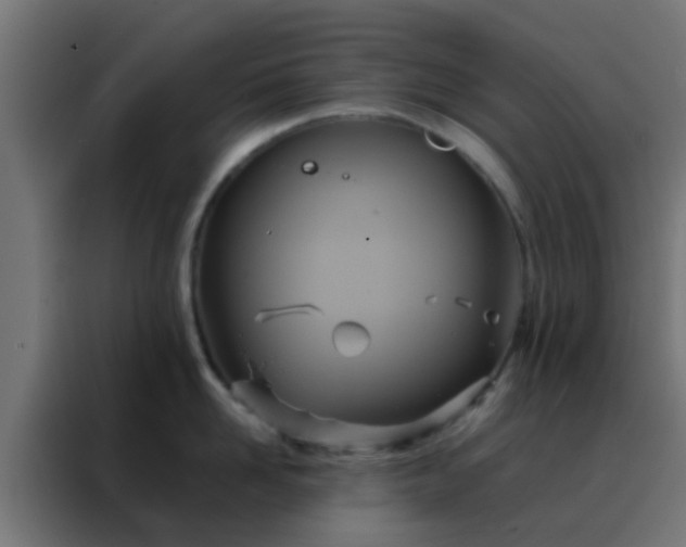 X0000088210958200705221741