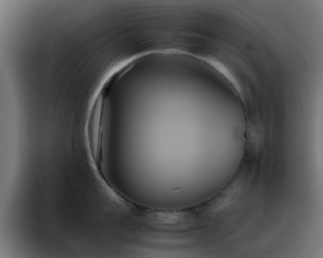 X0000088210959200705221741