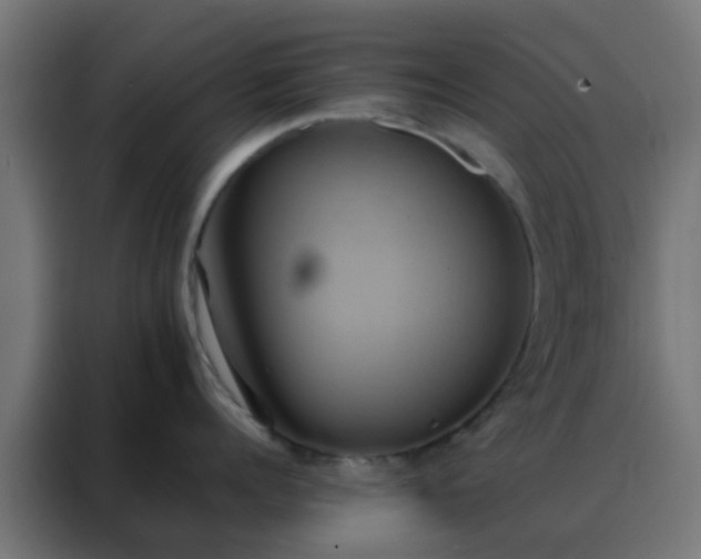 X0000088210960200705221741