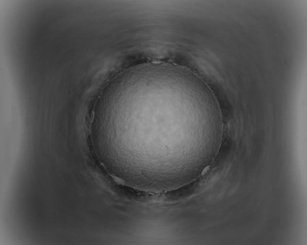 X0000088210961200705221740