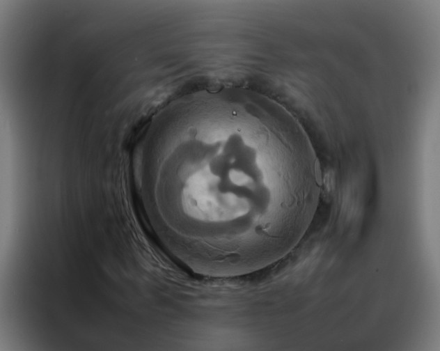 X0000088210963200705221740