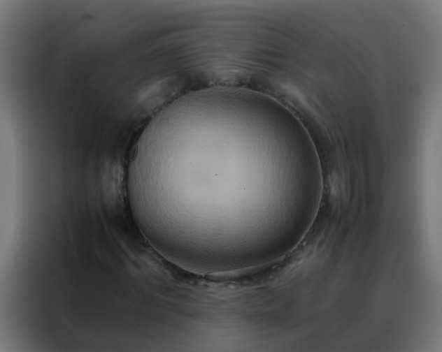 X0000088210964200705221740