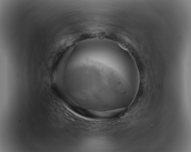 X0000088210965200705221740