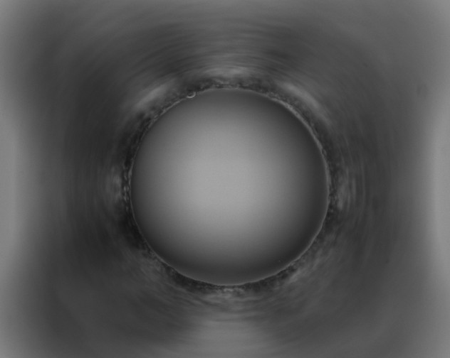 X0000088210966200705221740