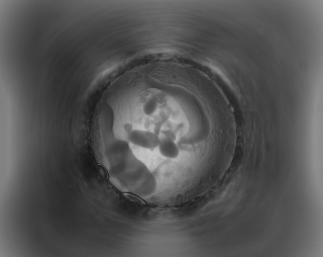 X0000088210967200705221740