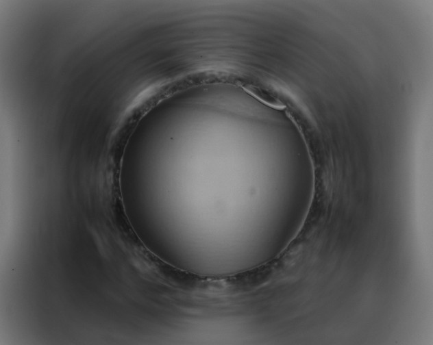 X0000088210968200705221740