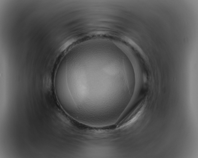 X0000088210969200705221740