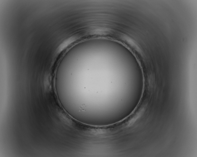 X0000088210970200705221740