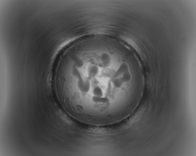 X0000088210971200705221740