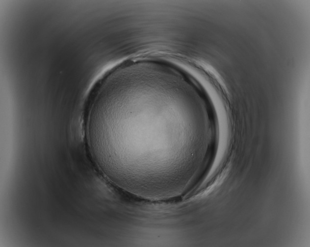 X0000088210973200705221740