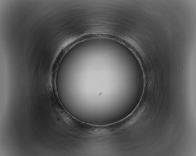 X0000088210974200705221740