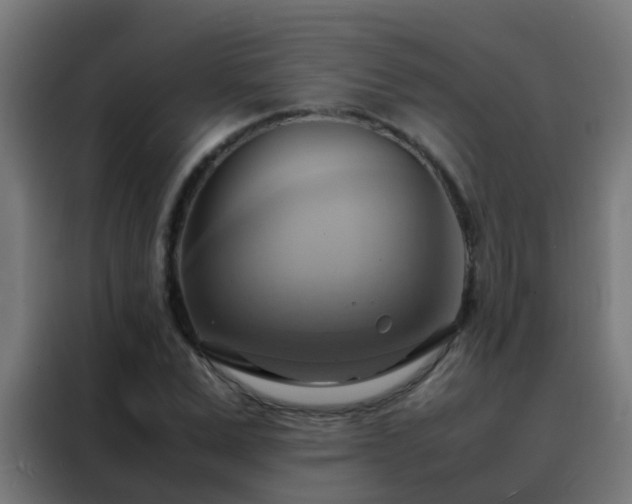 X0000088210975200705221740