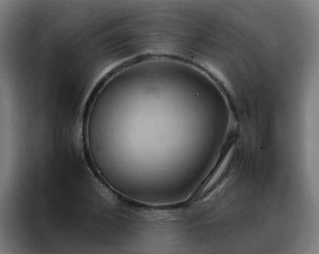 X0000088210976200705221740