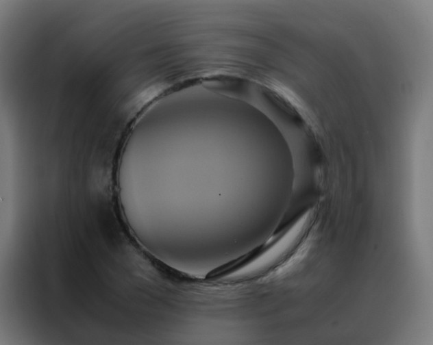 X0000088210977200705221740